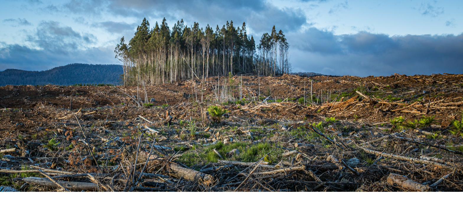 Climate Action: Personal Carbon Accounting